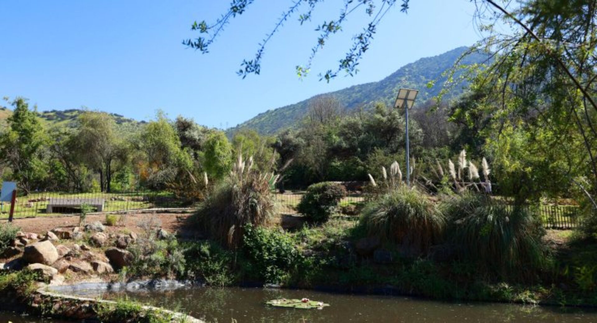 Visita al Bosque de Santiago