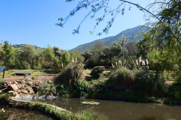 Visita al Bosque de Santiago