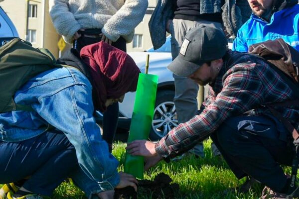 Arteterapia: Reconociéndome en la naturaleza