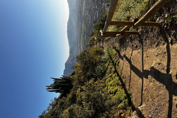 Recorramos juntos los senderos del Quicalcura, el corazón de Los Andes