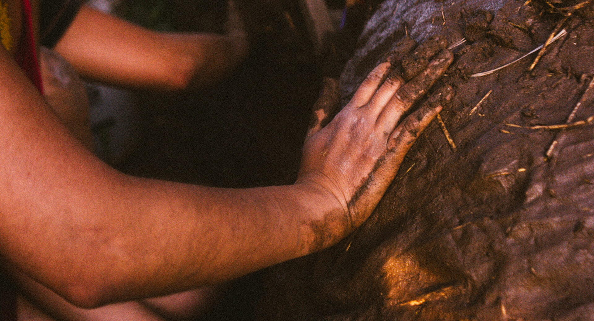 Regeneración en el cerro, Cuerpo – Territorio