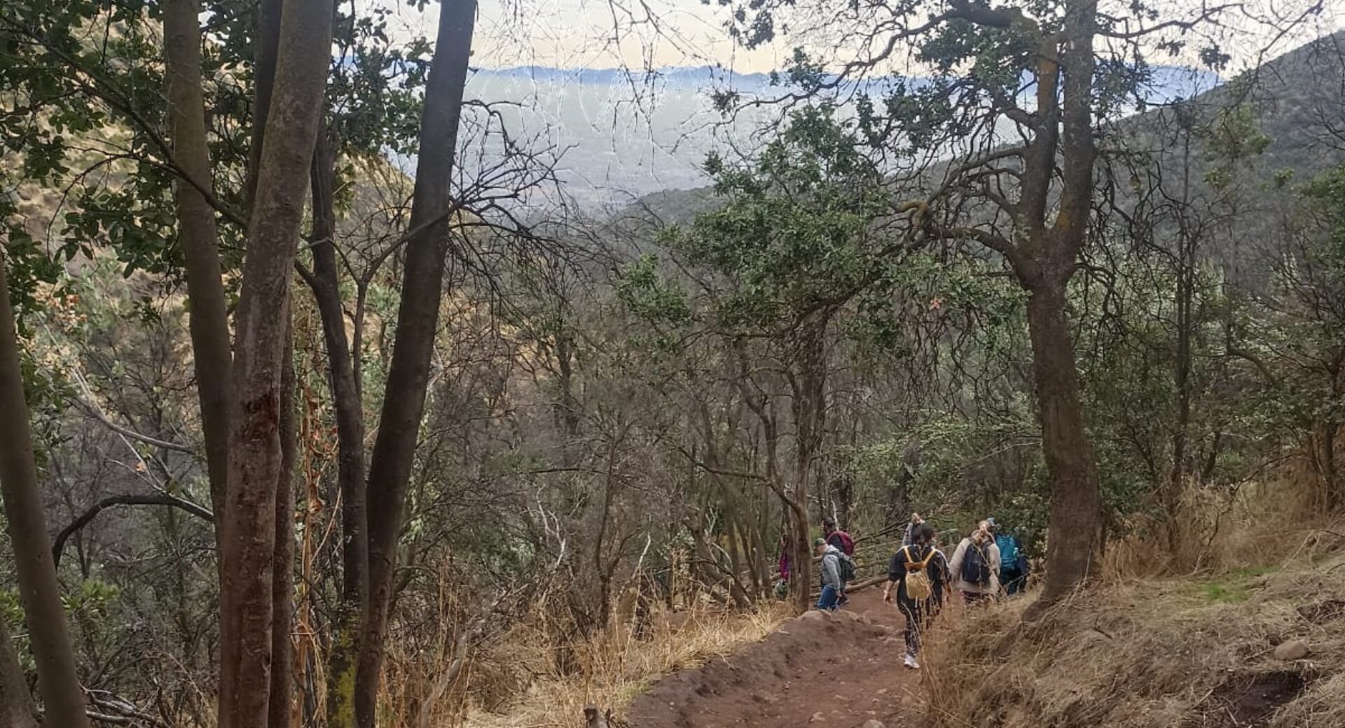 Conociendo la flora y fauna del bosque esclerófilo