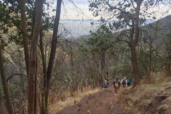 Conociendo la flora y fauna del bosque esclerófilo