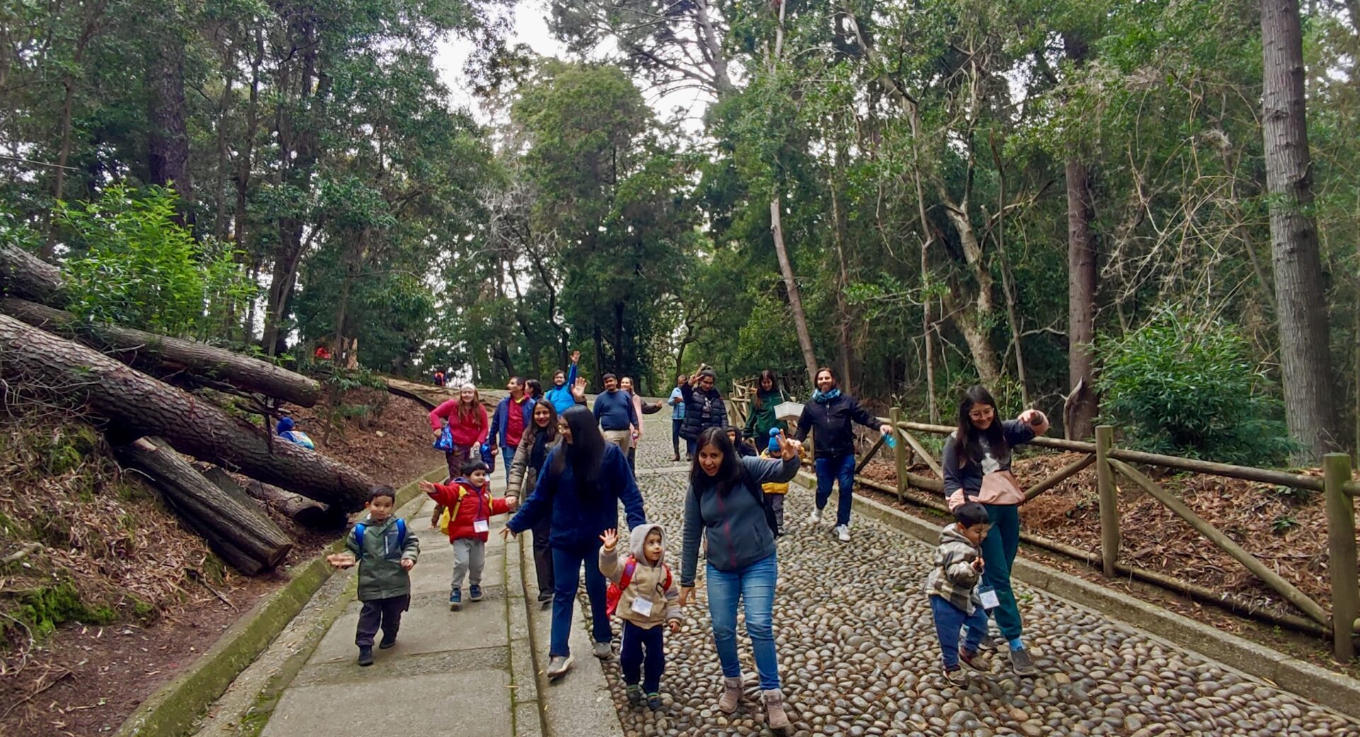 Salgamos a Conocer los Mesomamíferos Nativos que co-habitan en los Cerros del Gran Concepción