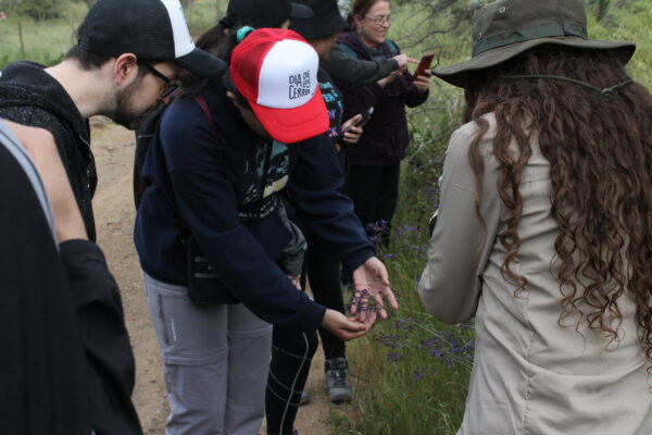 Ciencia Ciudadana en el Cerro Amapola