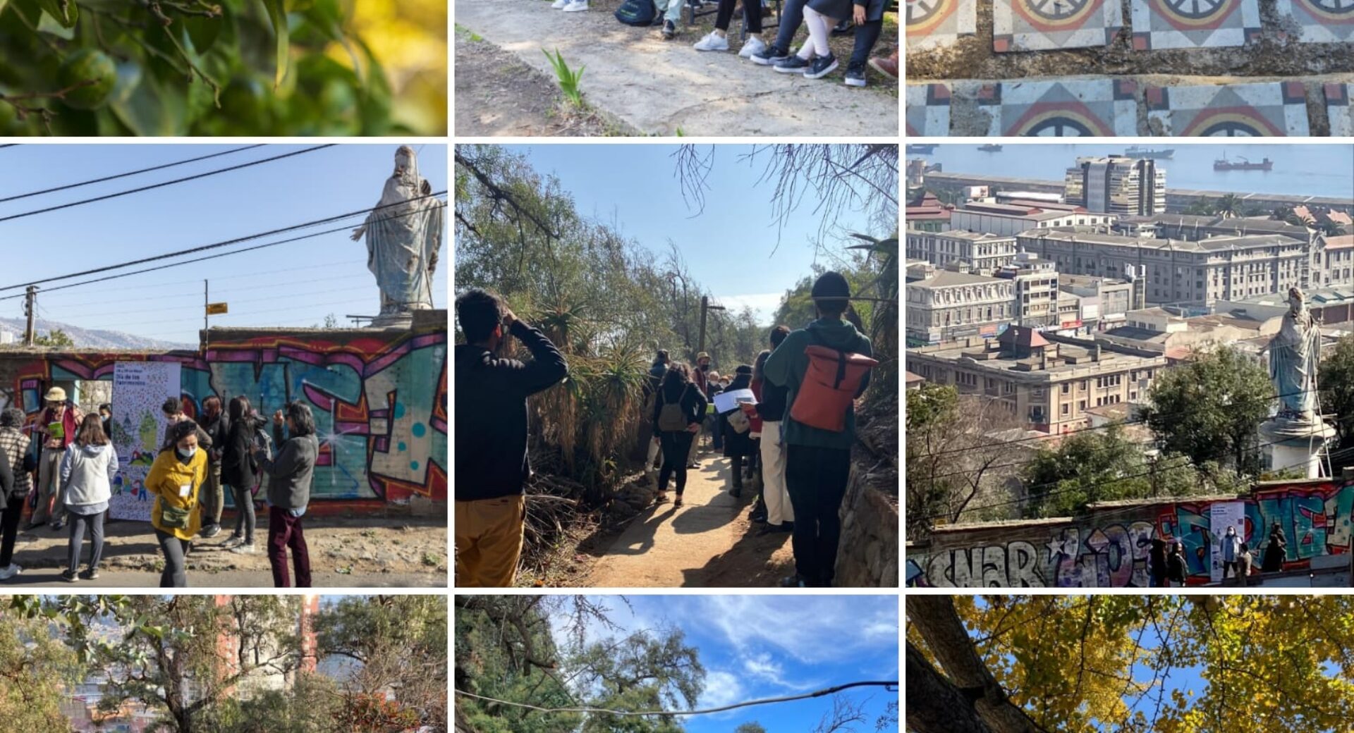 Descubriendo el patrimonio biocultural del Jardín Jesuita en Valparaíso