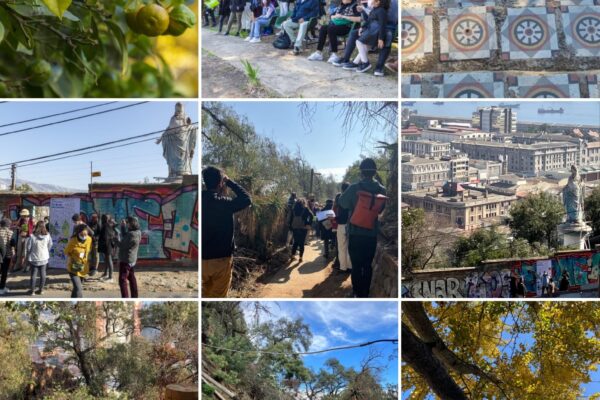 Descubriendo el patrimonio biocultural del Jardín Jesuita en Valparaíso