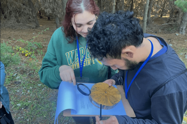 Entendamos nuestra huella de carbono junto a la Escuela del Bosque