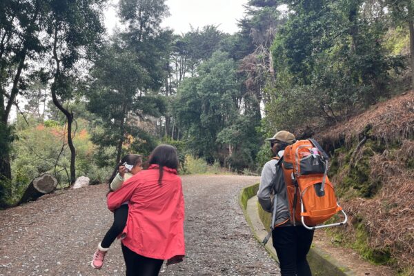 Aprendiendo del Bosque Esclerófilo