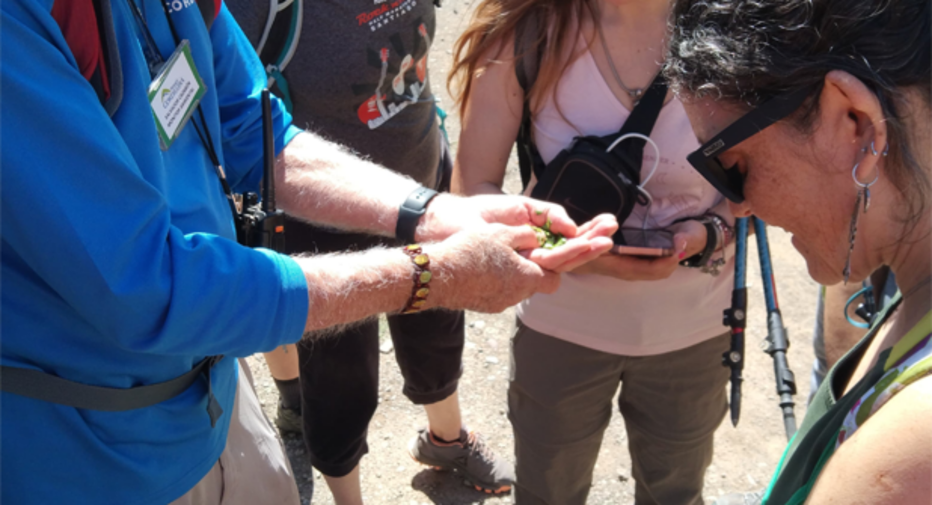 Trekking de reconocimiento de flores nativas del Parque Cerro del Medio