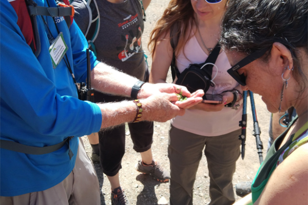 Trekking de reconocimiento de flores nativas del Parque Cerro del Medio