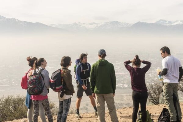 Guiado Botánico en el Cerro Chena