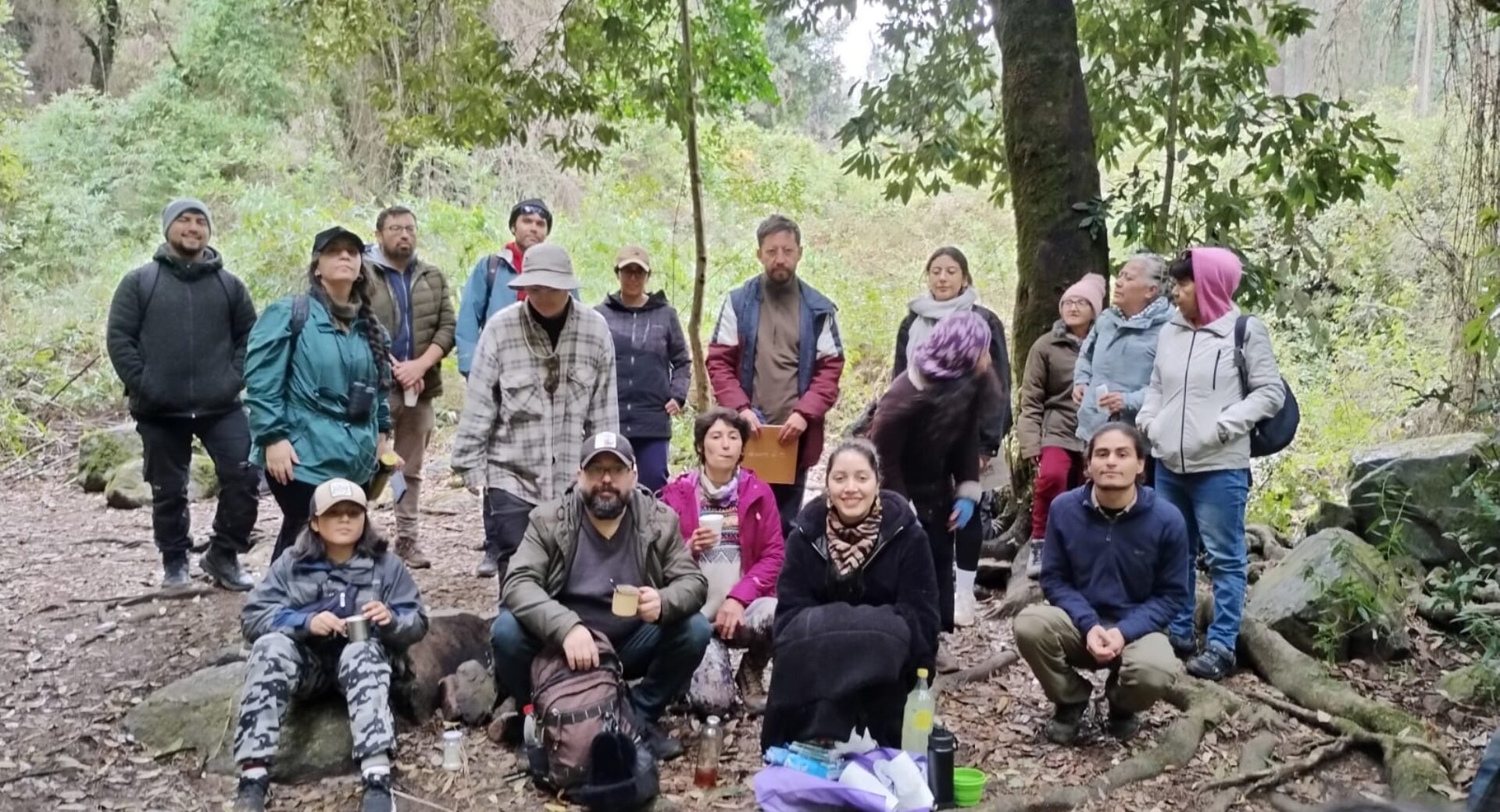 Trekking por el parque para Penco