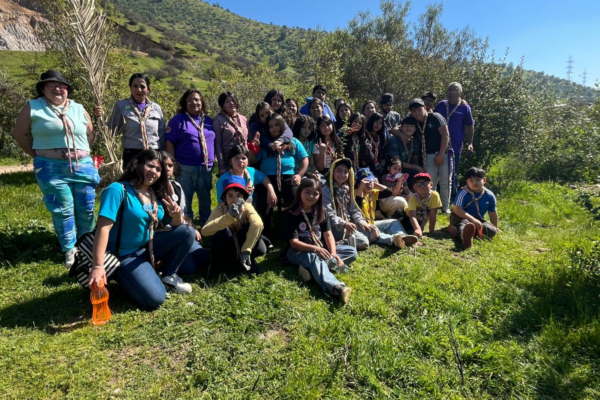 Limpieza y trabajo en reforestación