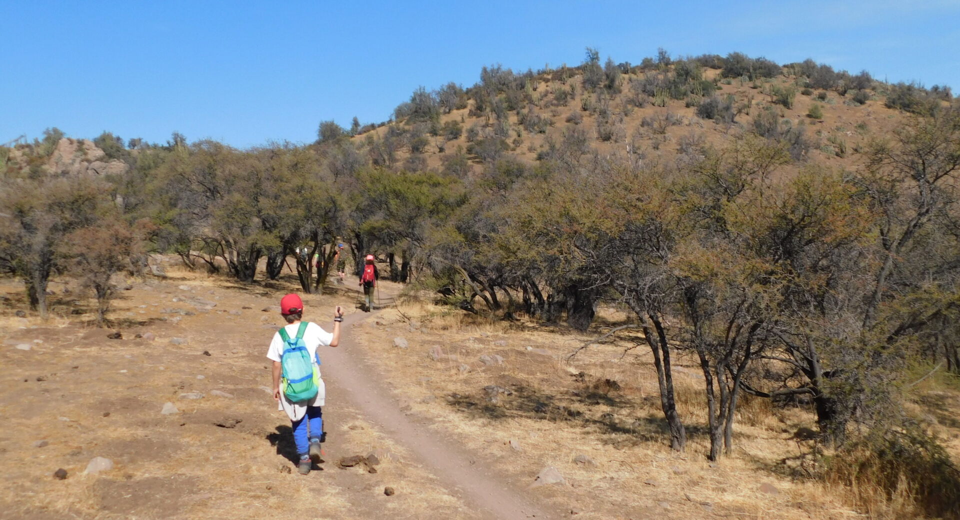 Andeshandbook invita: Cerro Oreganillo