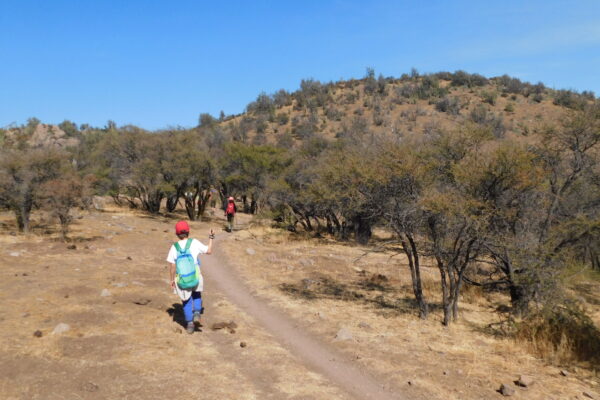 Andeshandbook invita: Cerro Oreganillo