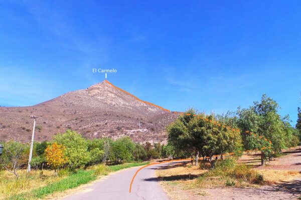 Andeshandbook Invita: Cerro El Carmelo – Desde Santuario